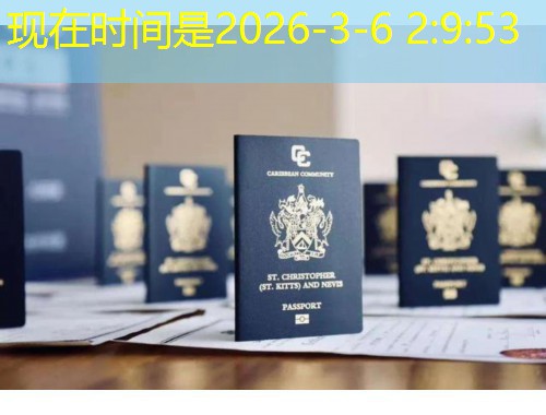 北京移民中介公司口碑：如何一眼识破“高分好评”背后的真相？